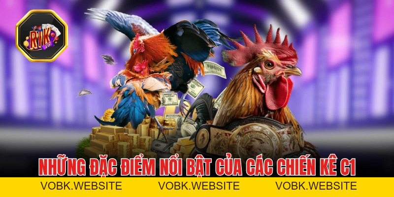 Đá Gà C1- Nơi Hội Tụ Những Chiến Kê Máu Lửa Hàng Đầu Đá Gà C1- Nơi Hội Tụ Những Chiến Kê Máu Lửa Hàng Đầu