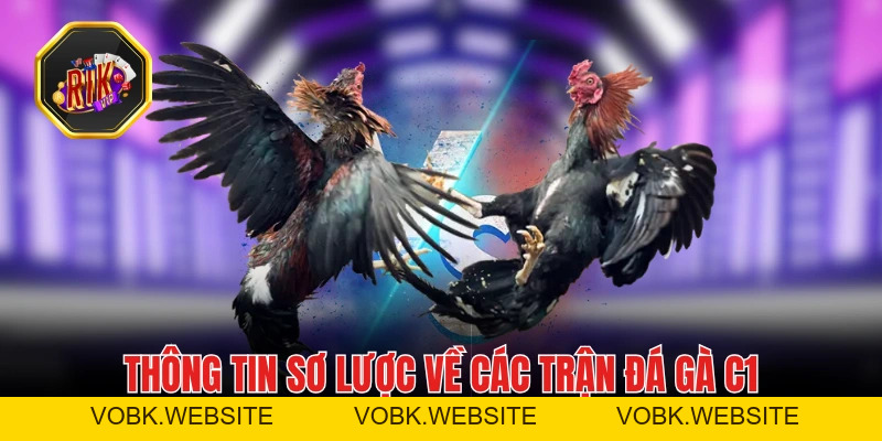 Đá Gà C1- Nơi Hội Tụ Những Chiến Kê Máu Lửa Hàng Đầu Đá Gà C1- Nơi Hội Tụ Những Chiến Kê Máu Lửa Hàng Đầu