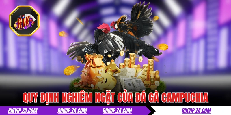 Đá Gà Campuchia - Thiên Đường Đích Thực Của Giới Sư Kê