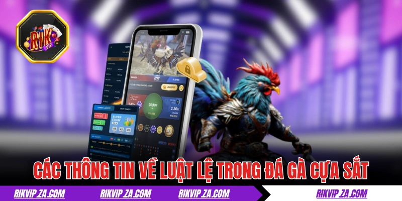Đá Gà Cựa Sắt - Tìm Hiểu Thể Loại Chọi Kê Đậm Chất Máu Lửa Đá Gà Cựa Sắt - Tìm Hiểu Thể Loại Chọi Kê Đậm Chất Máu Lửa