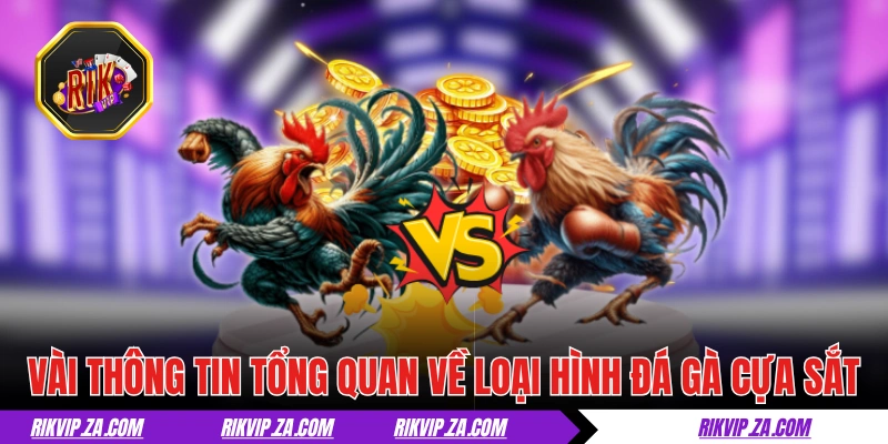Đá Gà Cựa Sắt - Tìm Hiểu Thể Loại Chọi Kê Đậm Chất Máu Lửa Đá Gà Cựa Sắt - Tìm Hiểu Thể Loại Chọi Kê Đậm Chất Máu Lửa