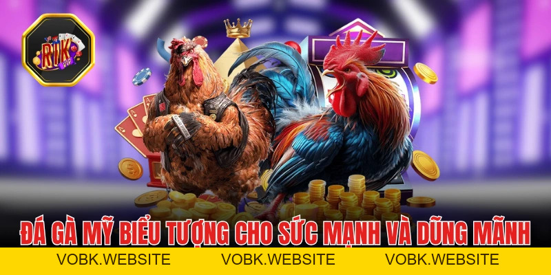 Đá Gà Mỹ - Màn Trình Diễn Giữa Các Chiến Kê Đỉnh Cao Đá Gà Mỹ - Màn Trình Diễn Giữa Các Chiến Kê Đỉnh Cao