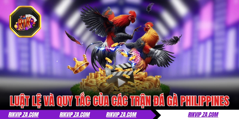 Đá Gà Philippines - Thiên Đường Của Giới Chọi Kê Hợp Pháp