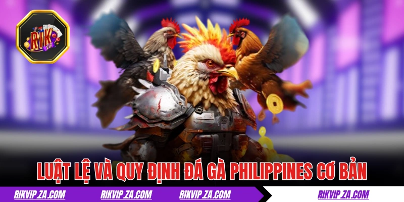 Đá Gà Philippines - Thiên Đường Của Giới Chọi Kê Hợp Pháp