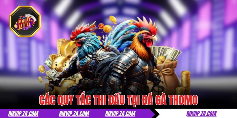 Đá Gà Thomo - Chuẩn Mực Của Giới Chọi Kê Chuyên Nghiệp